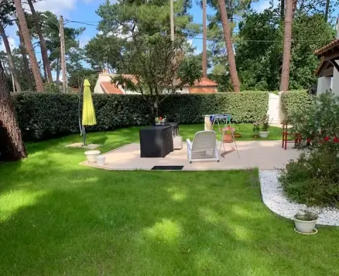 Plantation de fleurs à La Tremblade