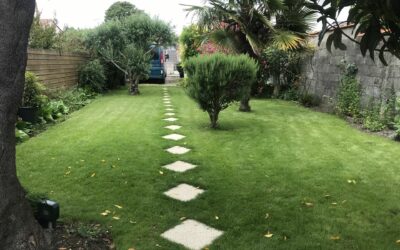 Entretien des espaces verts à Arvert : DJU’17, votre expert en jardinage